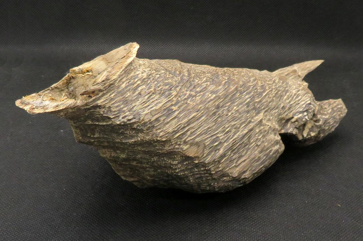 沈香（ベトナム産） 152g