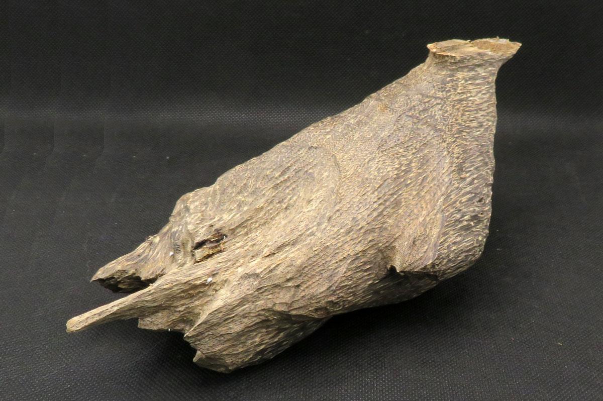 沈香（ベトナム産） 152g