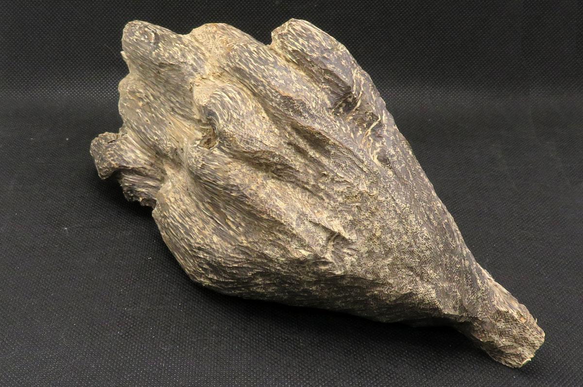 沈香（ベトナム産） 152g