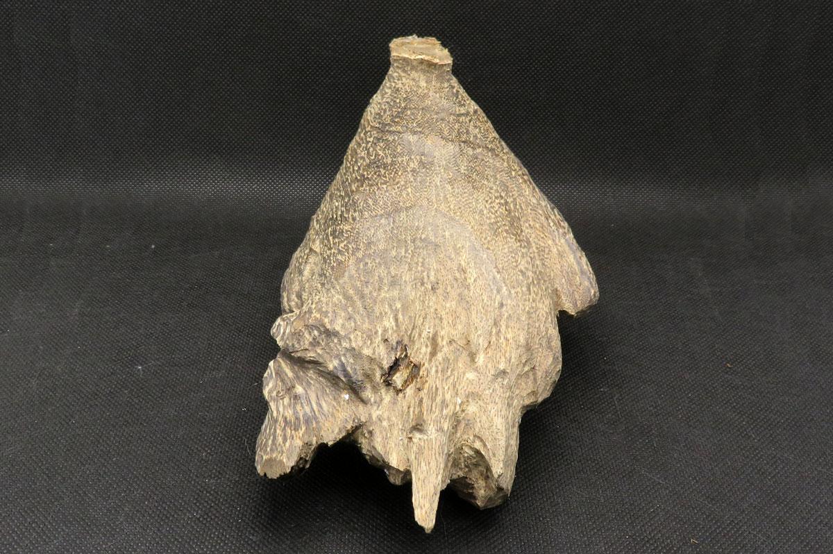 沈香（ベトナム産） 152g