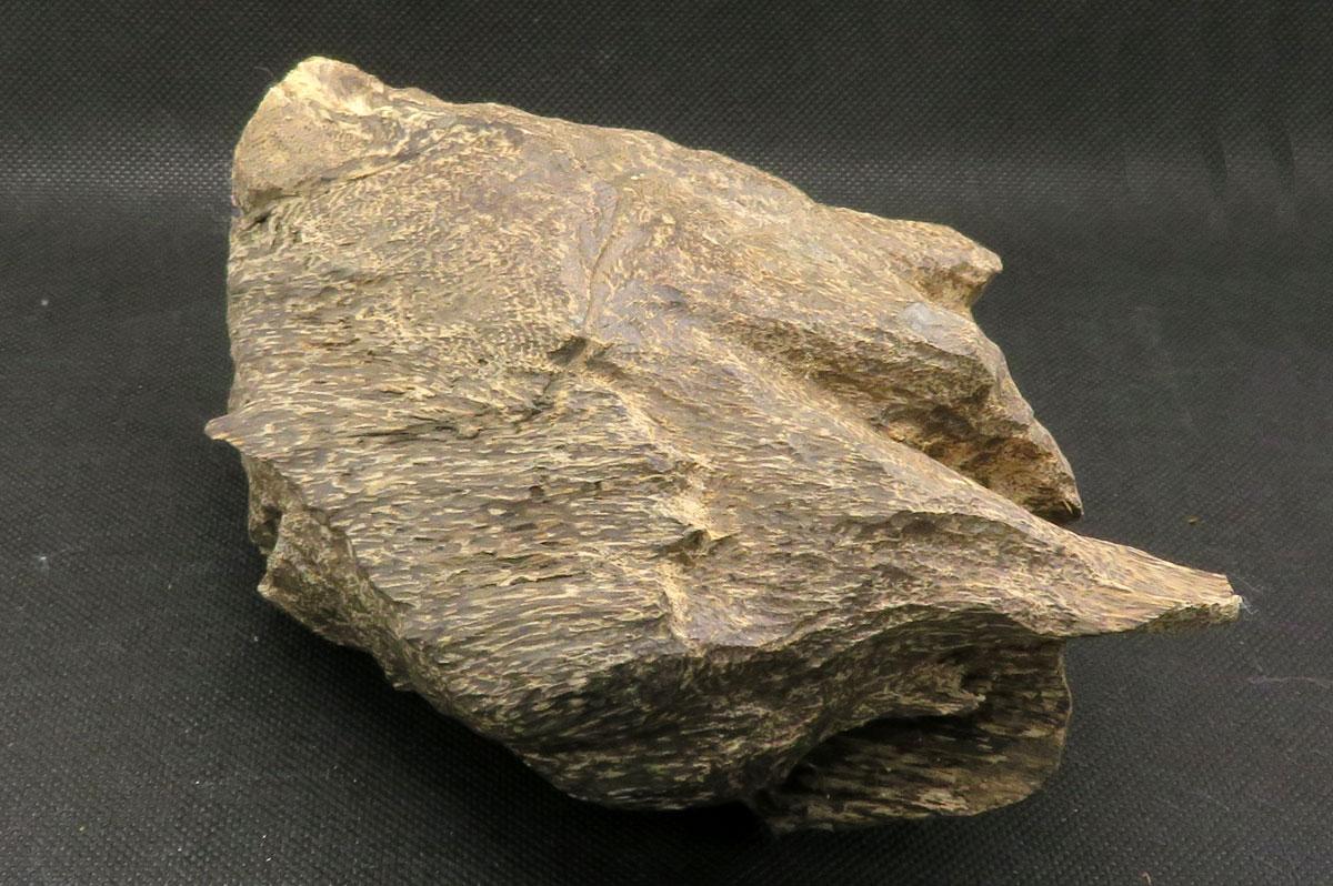 沈香（ベトナム産） 174g