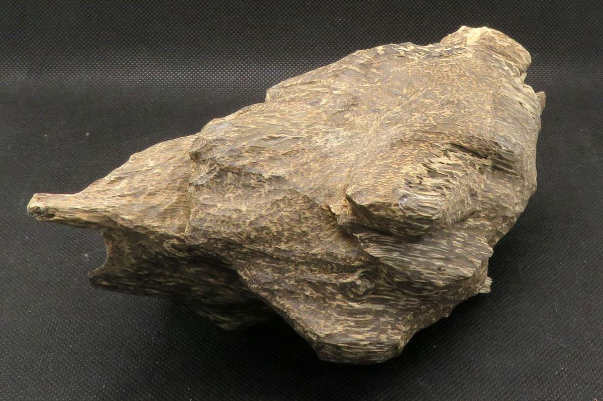 沈香（ベトナム産） 174g