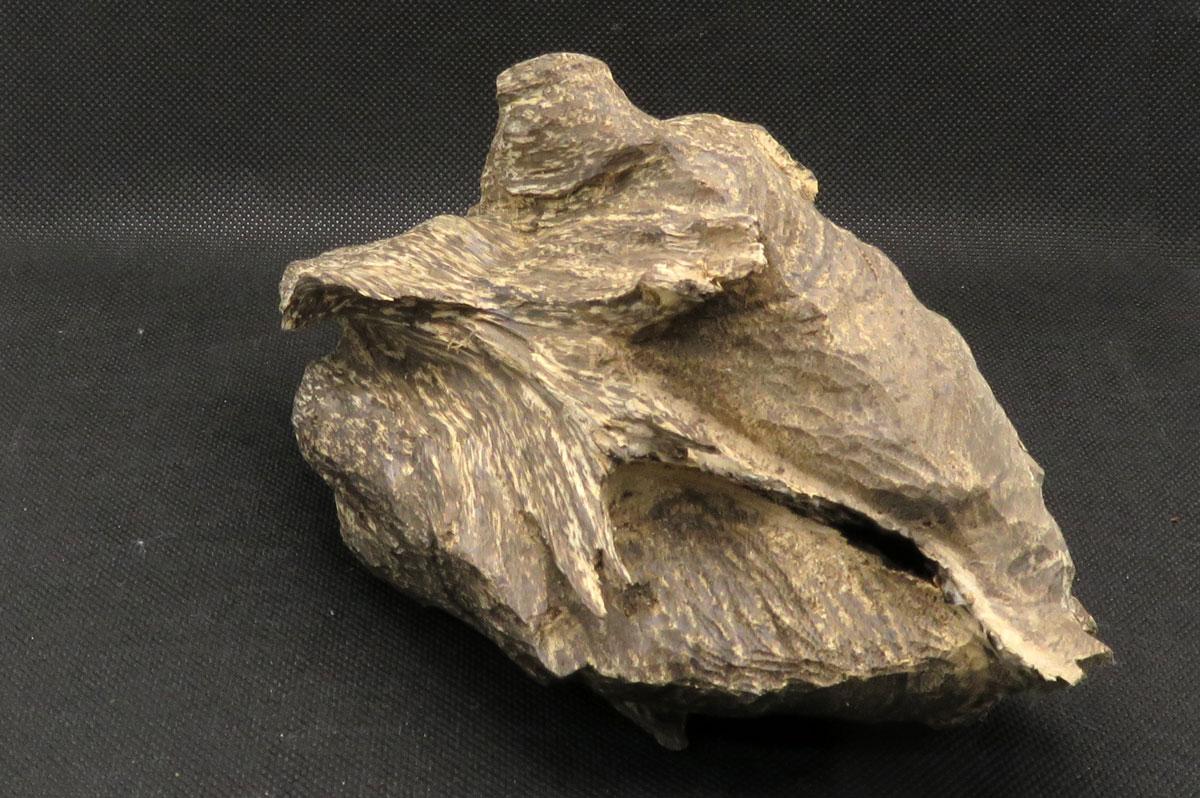 沈香（ベトナム産） 174g