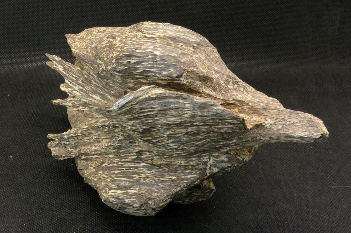 沈香（ベトナム産） 174g